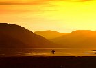 Marcus Offinger_Loch Fyne Sunrise.jpg